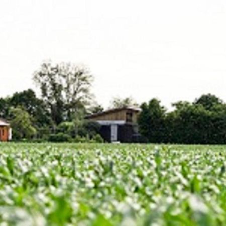 Demeterhof Duenninger Daire Hofheim in Unterfranken Dış mekan fotoğraf