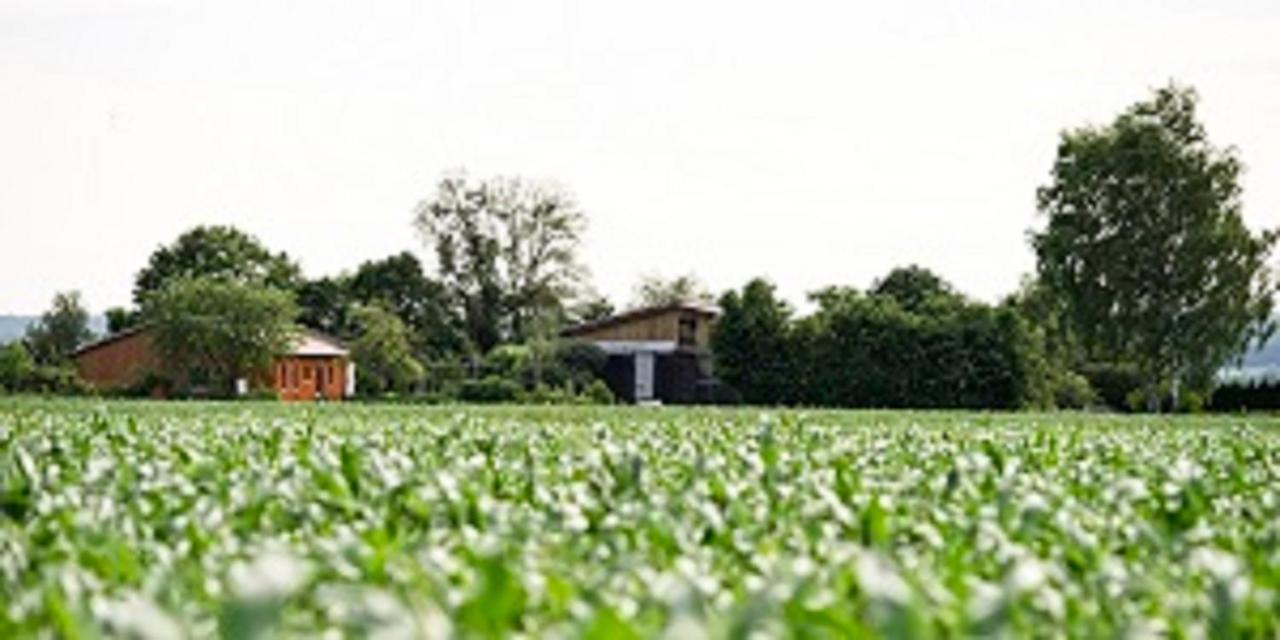 Demeterhof Duenninger Daire Hofheim in Unterfranken Dış mekan fotoğraf